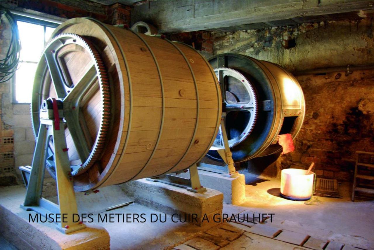 Loft Cosy - Hypercentre - Sauna - 200M2 - Wifi Graulhet Eksteriør billede